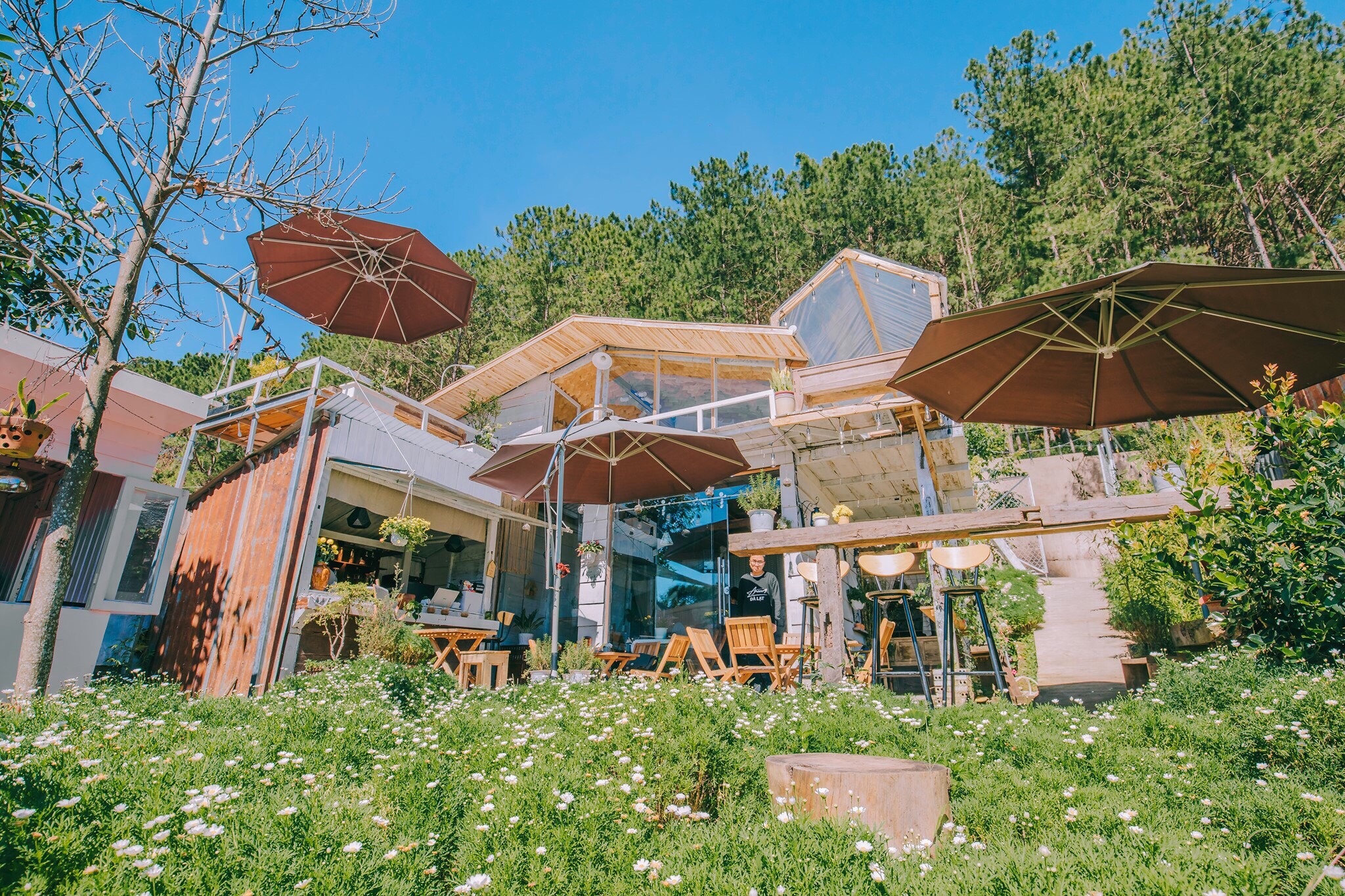 5 quan ca phe view dep, do uong ngon tai Da Lat hinh anh