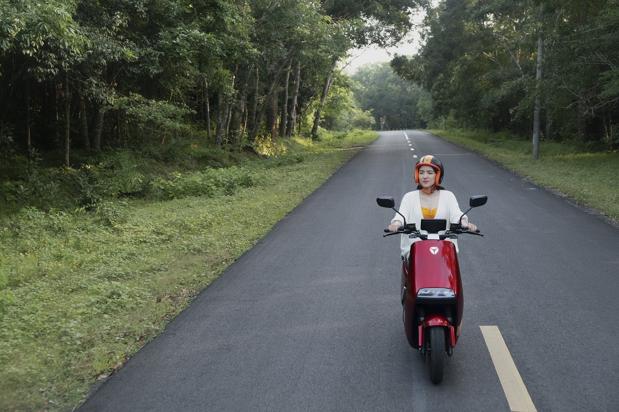 Dau chiu ngoi yen anh 4