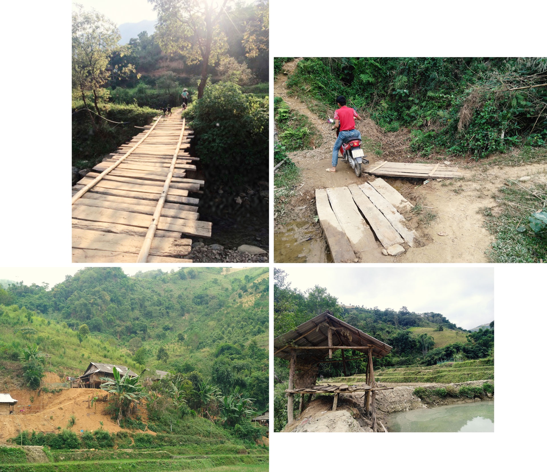 Bridgestone Việt Nam ảnh 6 Bridgestone Viet Nam anh 6