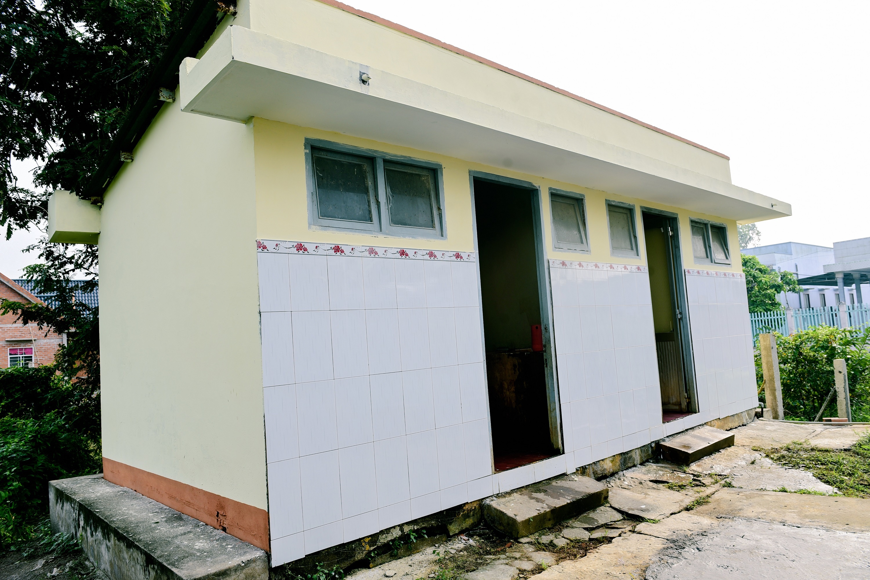 Truong Tieu hoc Tan Dong anh 13