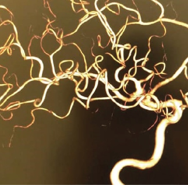 Bệnh viện Vinmec Đà Nẵng ảnh 3 Benh vien Vinmec Da Nang anh 3