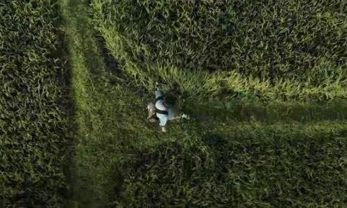 Tet di cung nguoi tre tren hanh trinh ve nha hinh anh