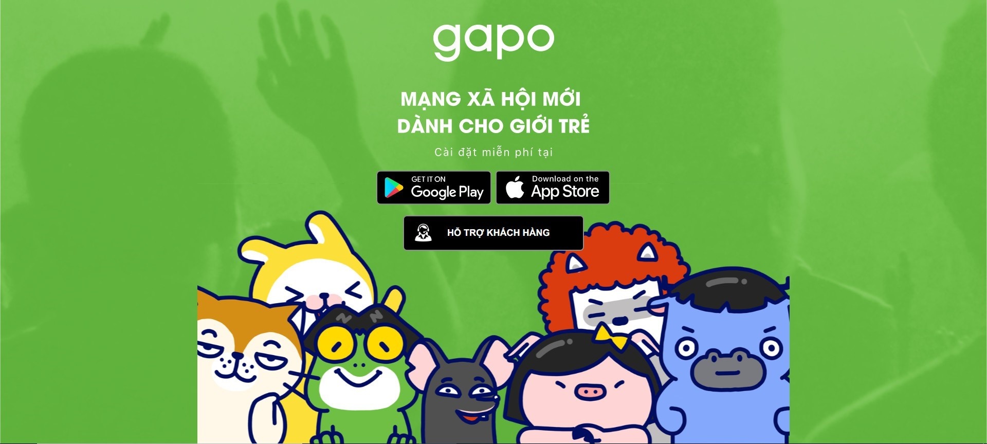 Gapo ảnh 5 Gapo anh 5