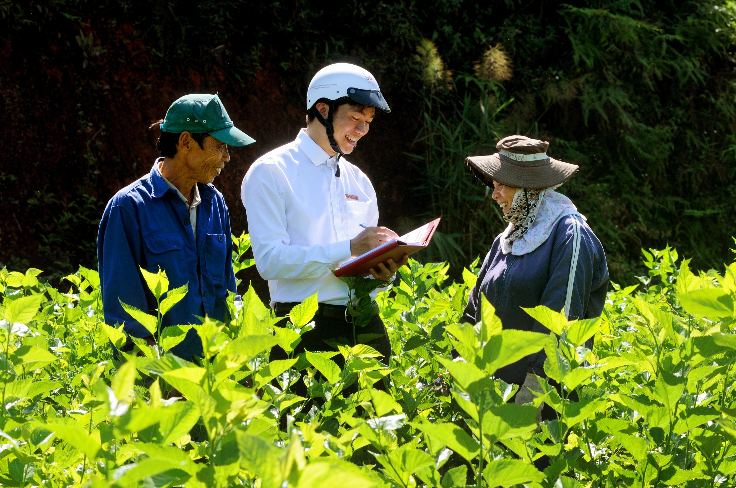 Agribank day manh thanh toan khong dung tien mat tai nong thon hinh anh