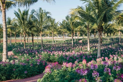 ngôi làng bắc Âu ảnh 13 ngoi lang bac Au anh 13