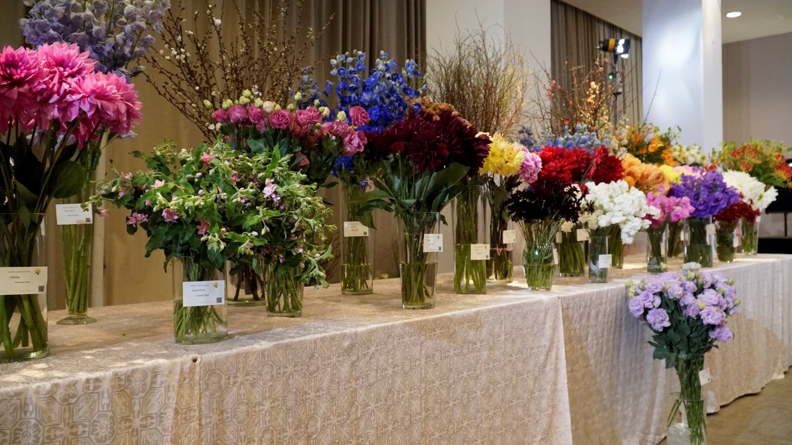 Lavendershop94 anh 2