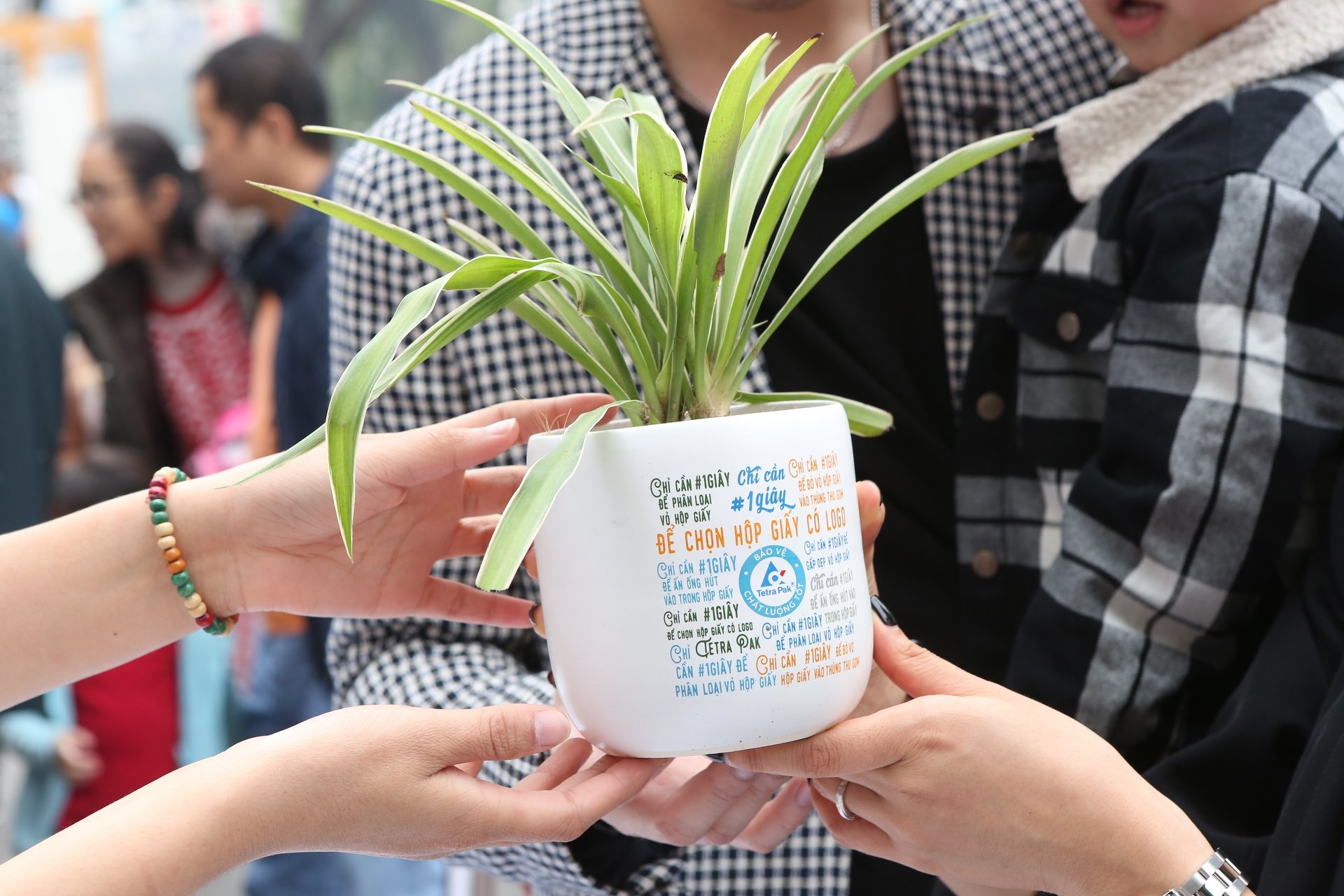 tai che hop giay anh 8