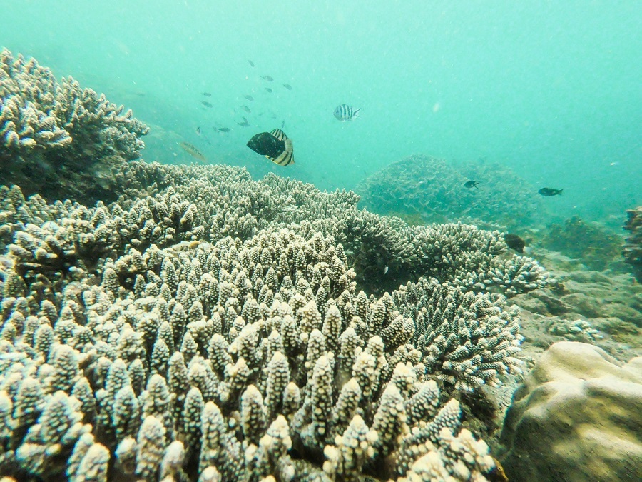 Hoàng hôn ảnh 6 Hoang hon anh 6