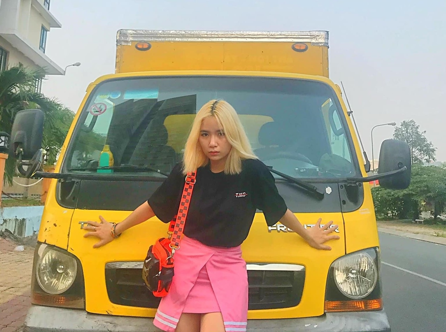 Diana Kpop Concert anh 6