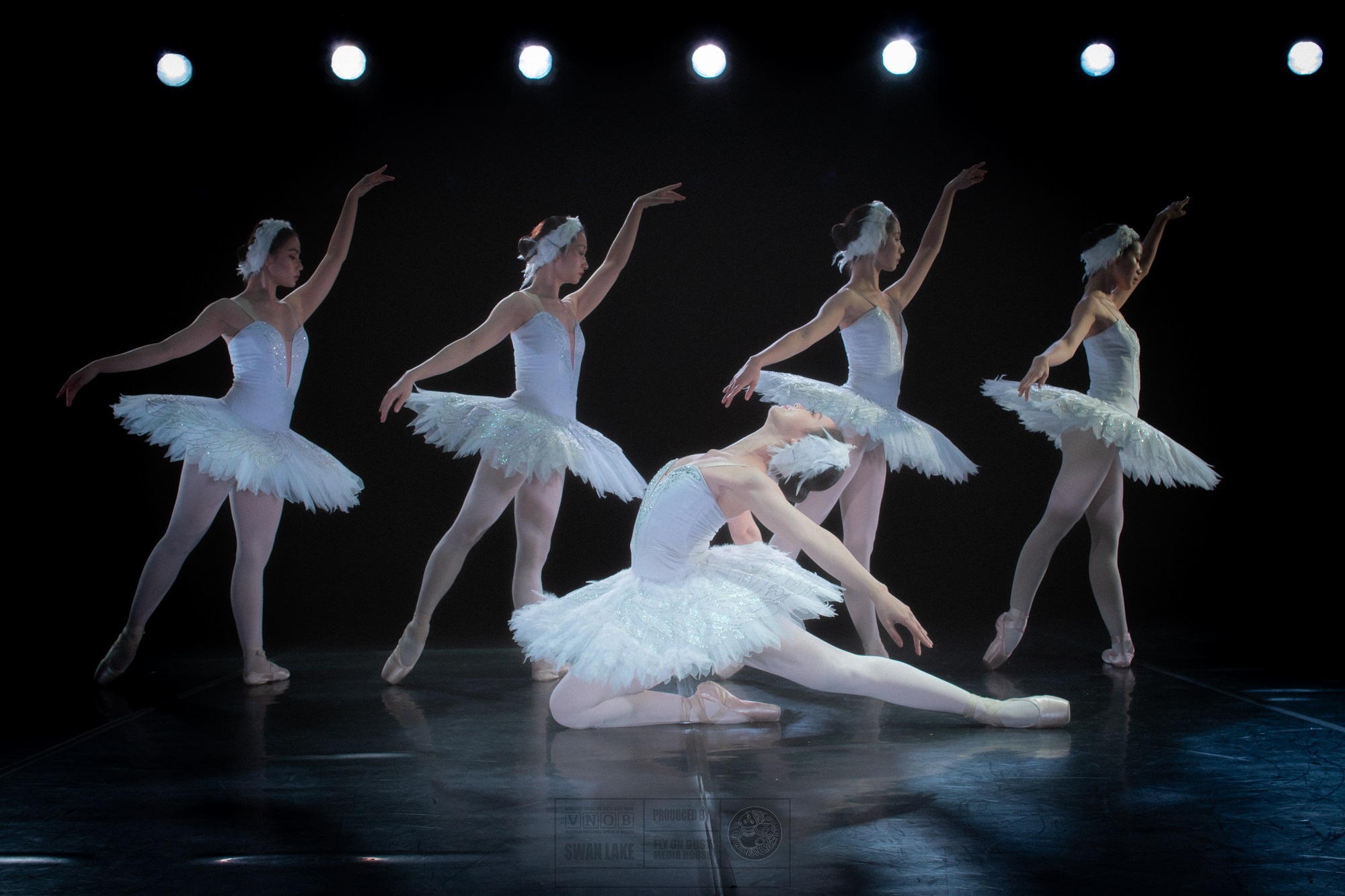 Co hoi thuong thuc vo ballet kinh dien giua ho Thien nga Ecopark hinh anh