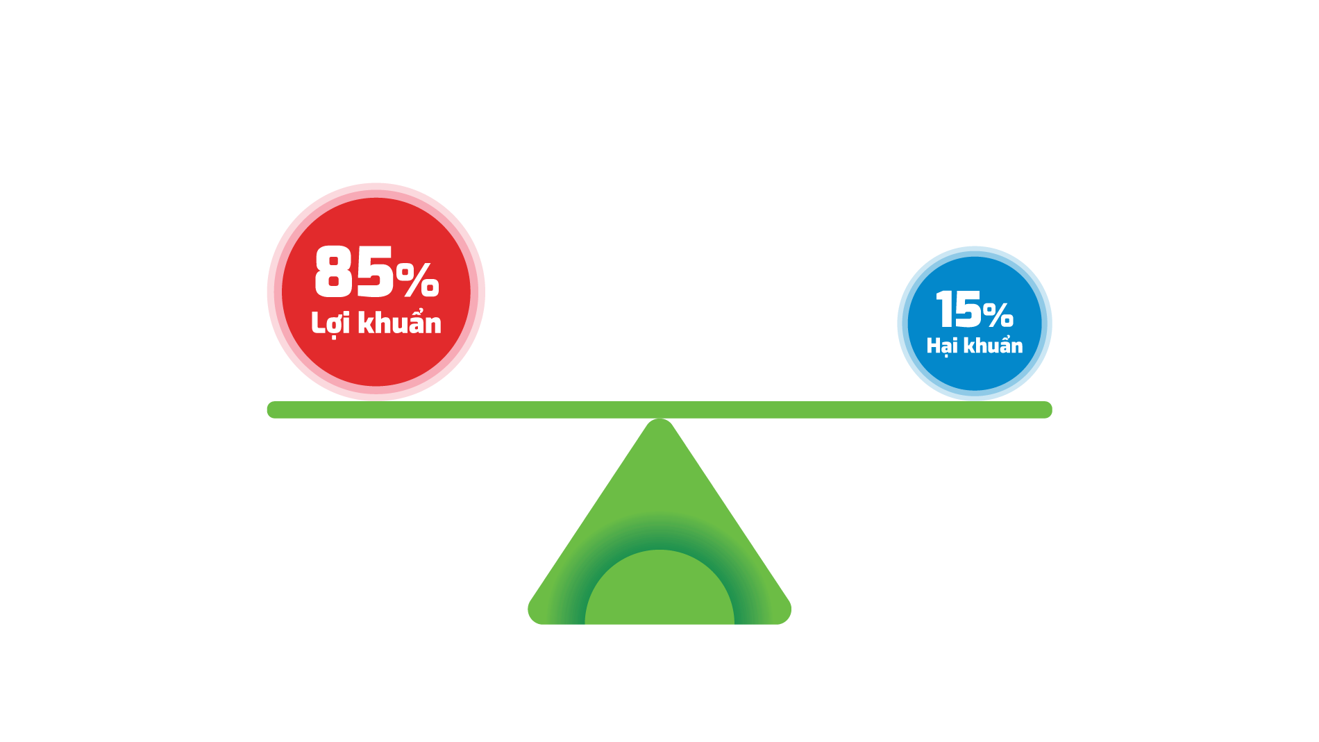 Men vi sinh Bifina anh 2