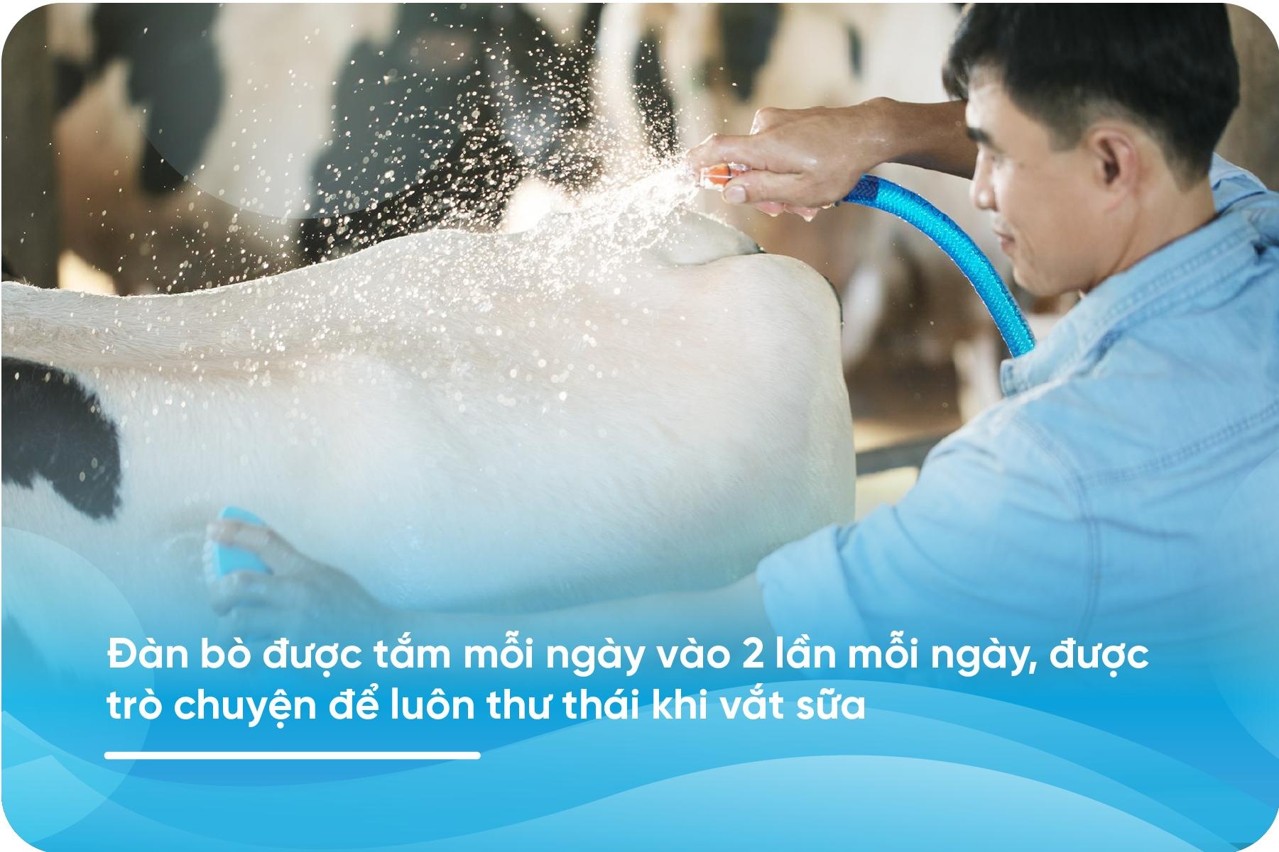 sua Co Gai Ha Lan anh 2