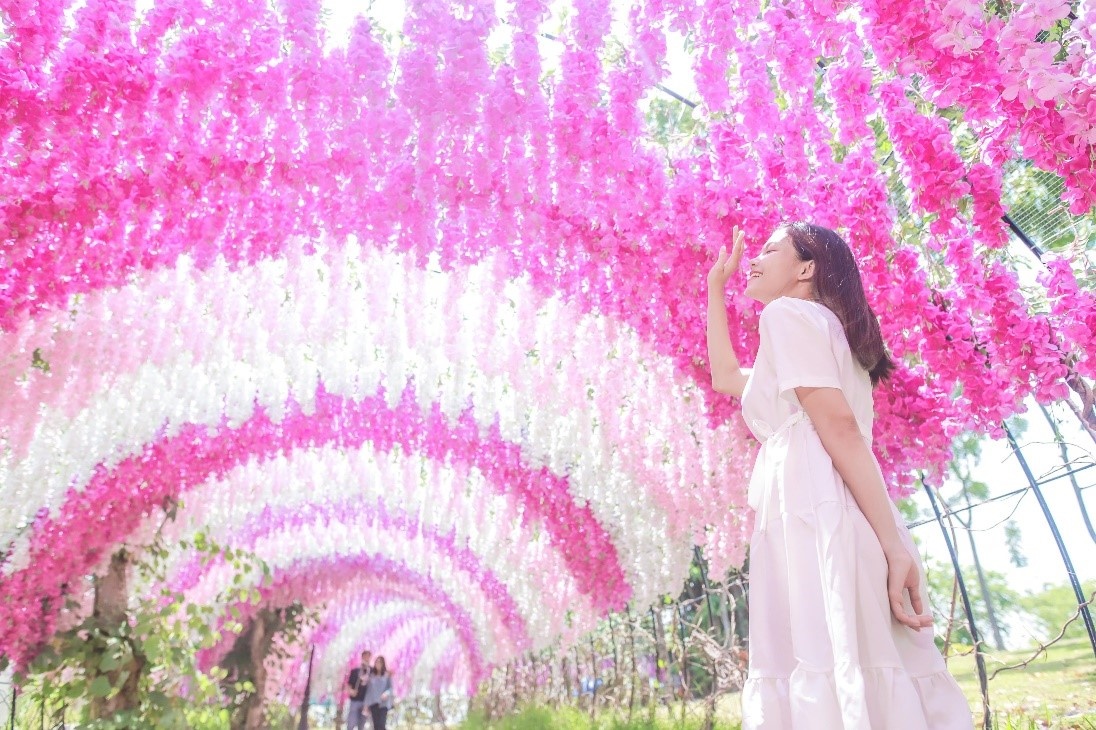 Khu du lich Buu Long anh 3