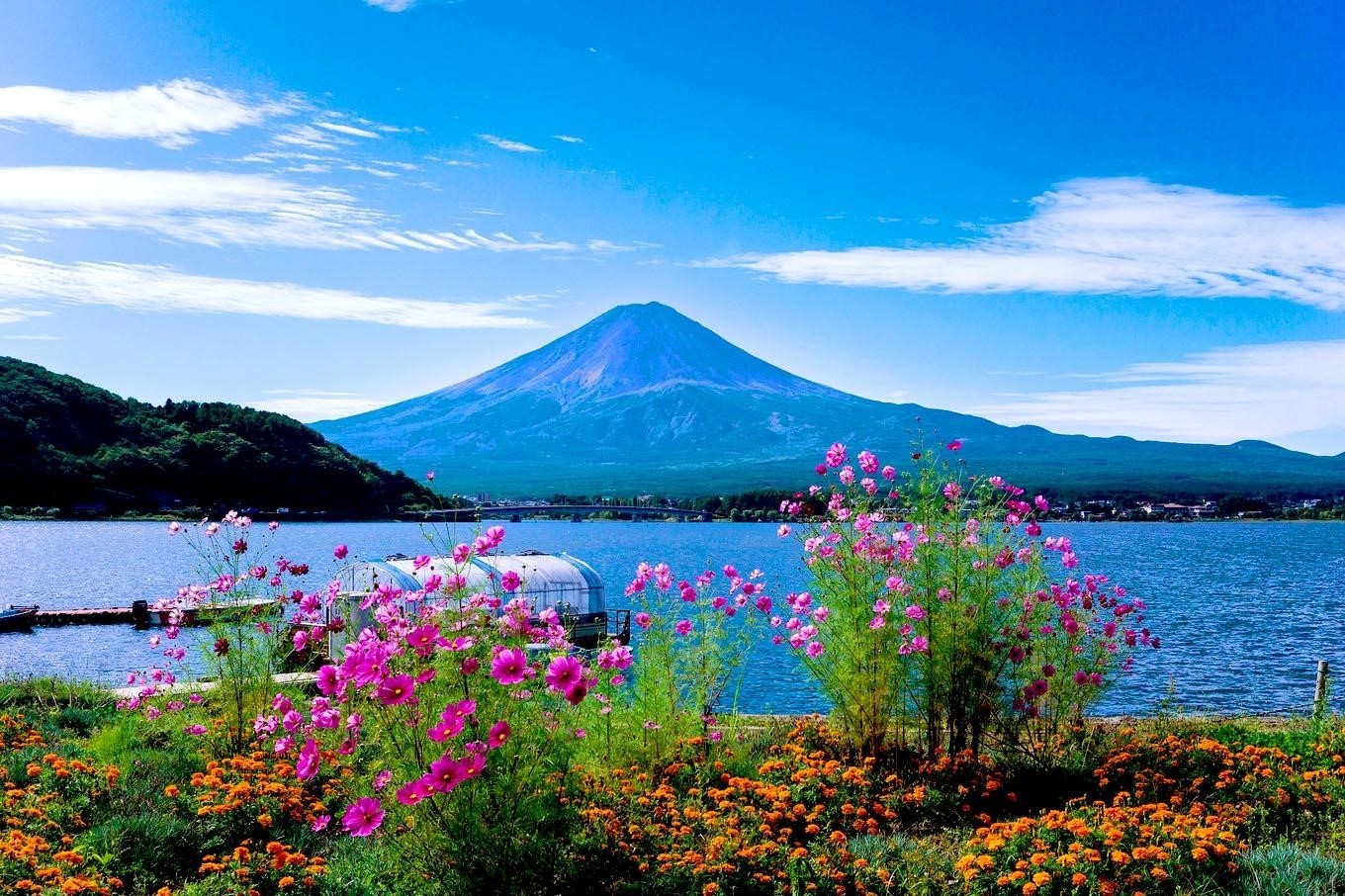 Công ty Cổ phần Đầu tư Kỳ nghỉ Đông Dương ảnh 3 Cong ty Co phan Dau tu Ky nghi Dong Duong anh 3