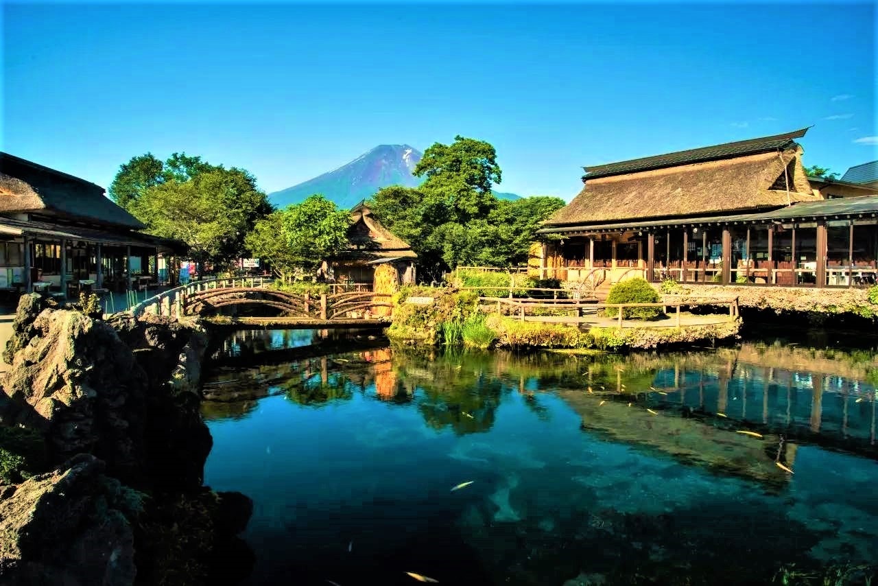 Cong ty Co phan Dau tu Ky nghi Dong Duong anh 5