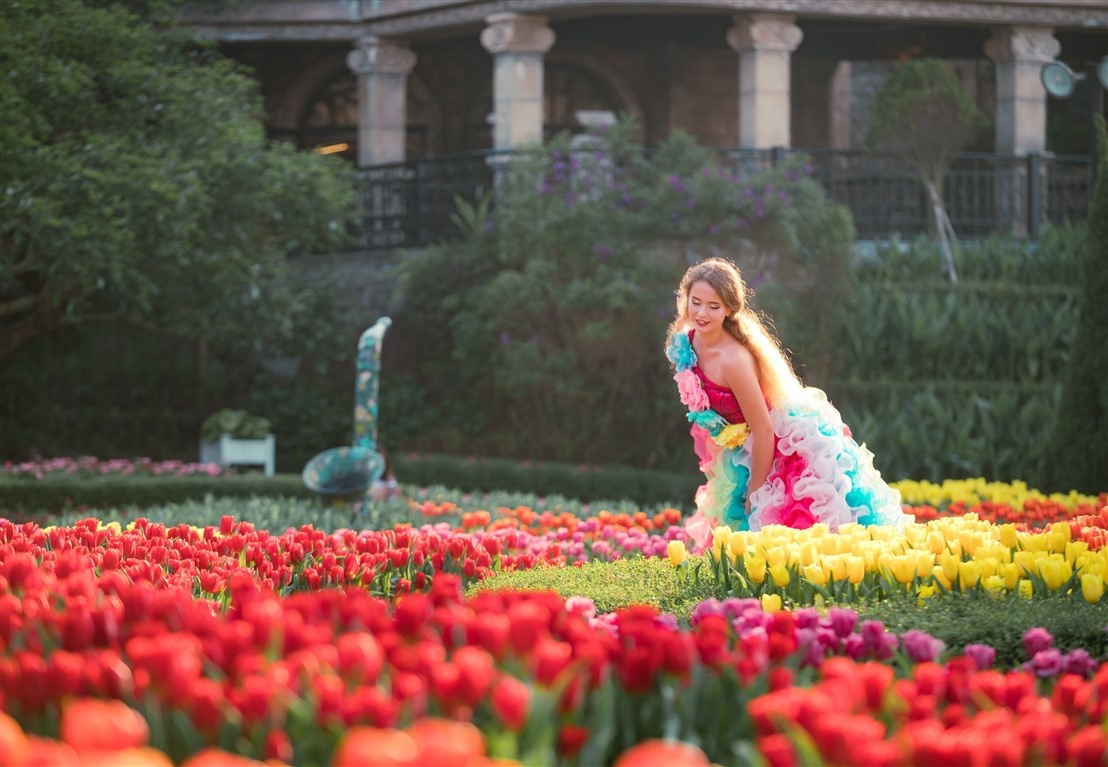 Khong can den Ha Lan, Ba Na co ca thien duong hoa tulip mua xuan nay hinh anh