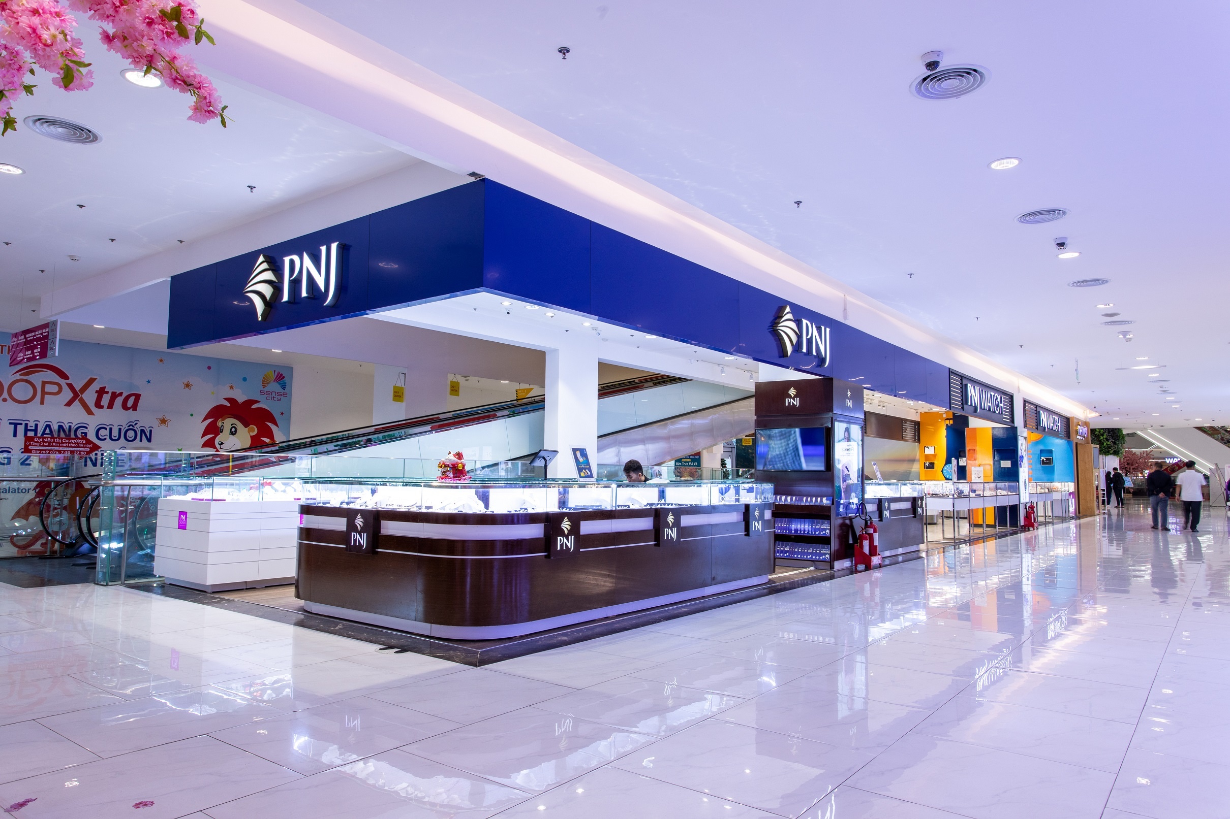 TTTM đông TP.HCM ảnh 11 TTTM dong TP.HCM anh 11