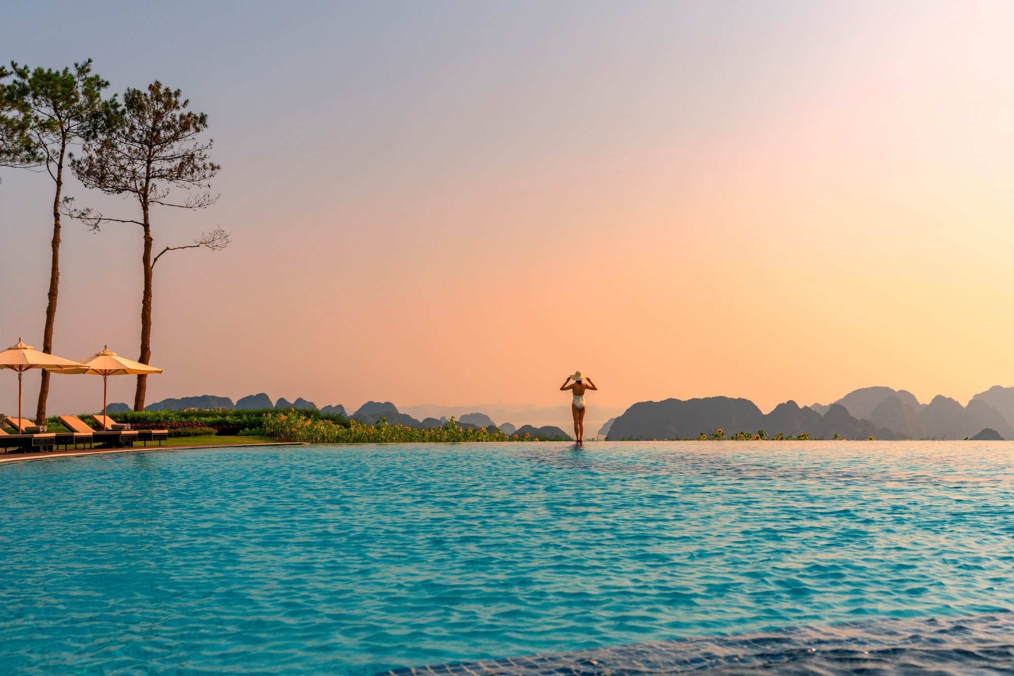 FLC ảnh 5 FLC anh 5