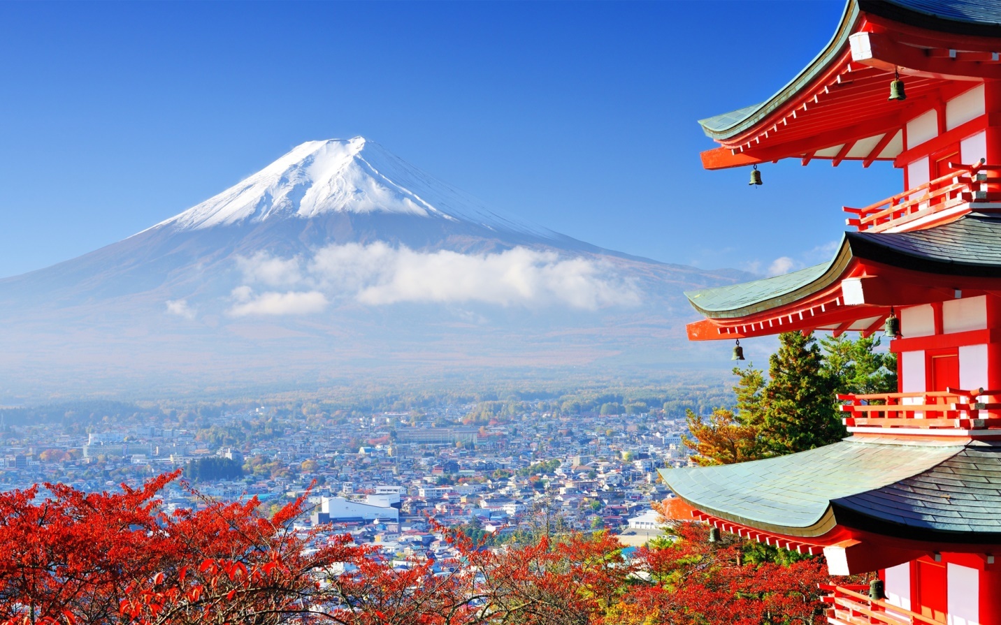 Goi y nhung diem du xuan tu binh dan den 'chanh sa' hinh anh