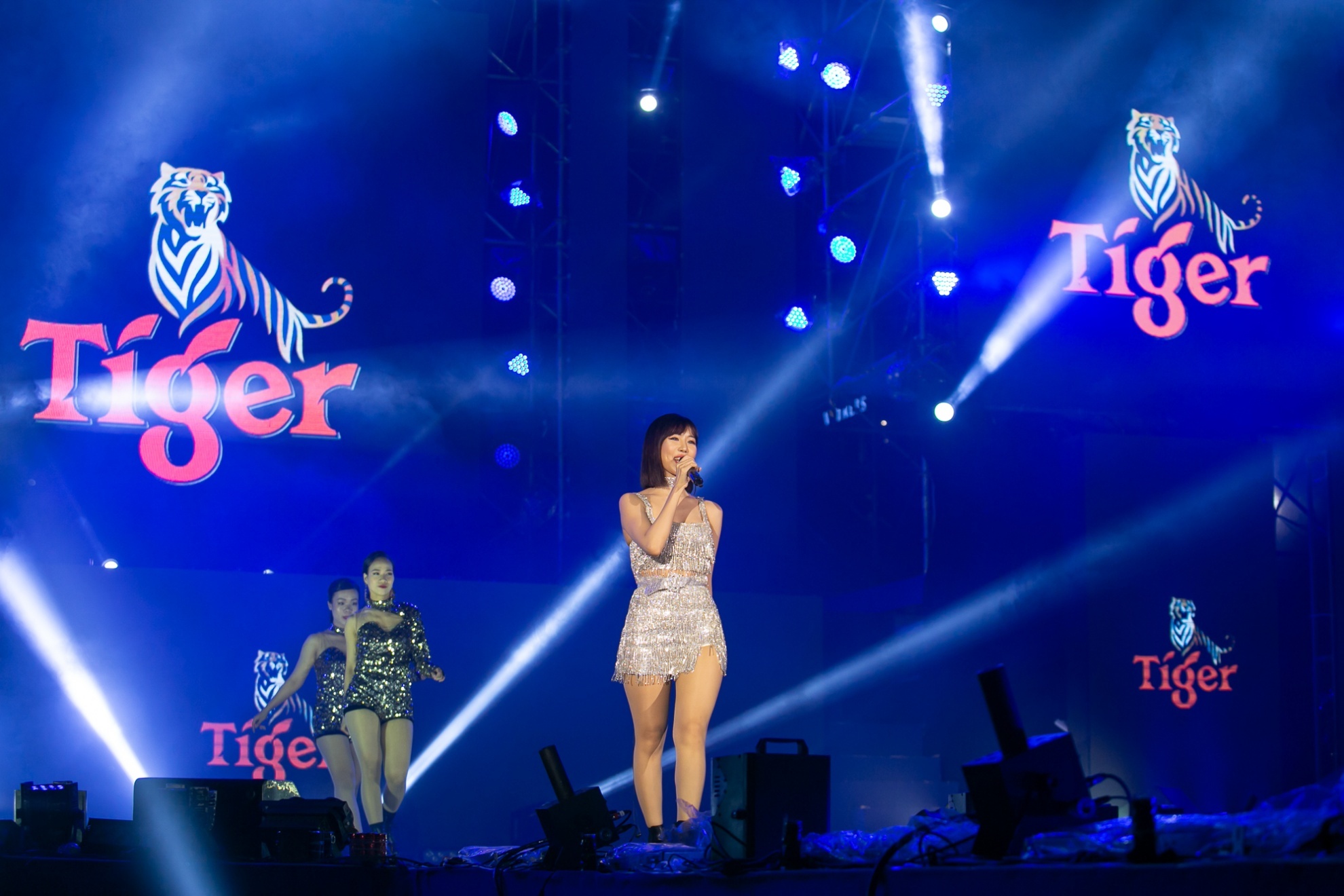 Tiger Remix  ảnh 3 Tiger Remix anh 3