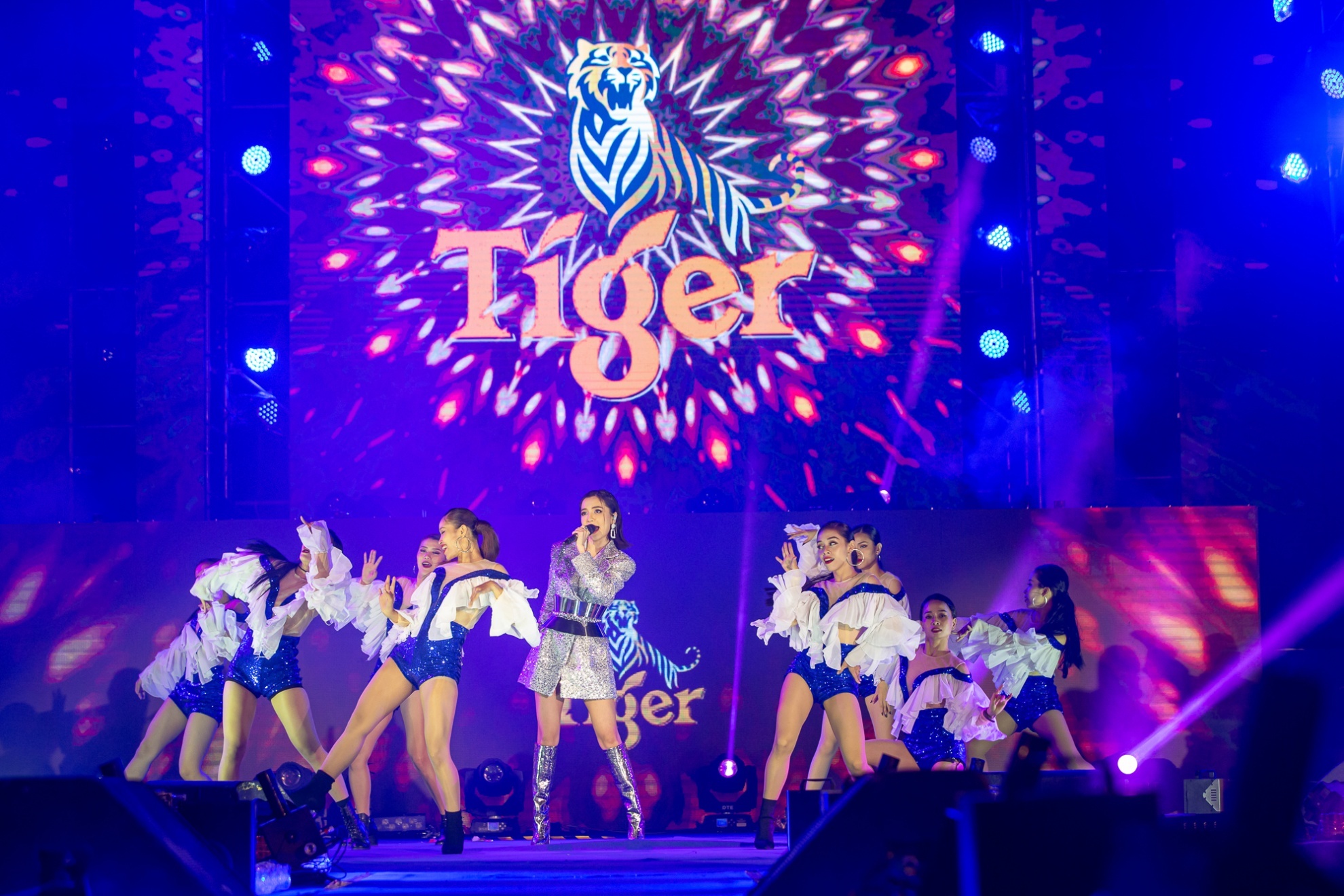 Tiger Remix  ảnh 4 Tiger Remix anh 4