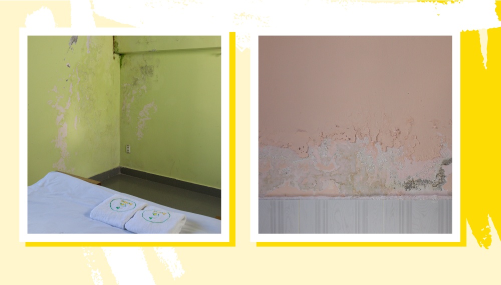 tuong tran thach cao anh 1