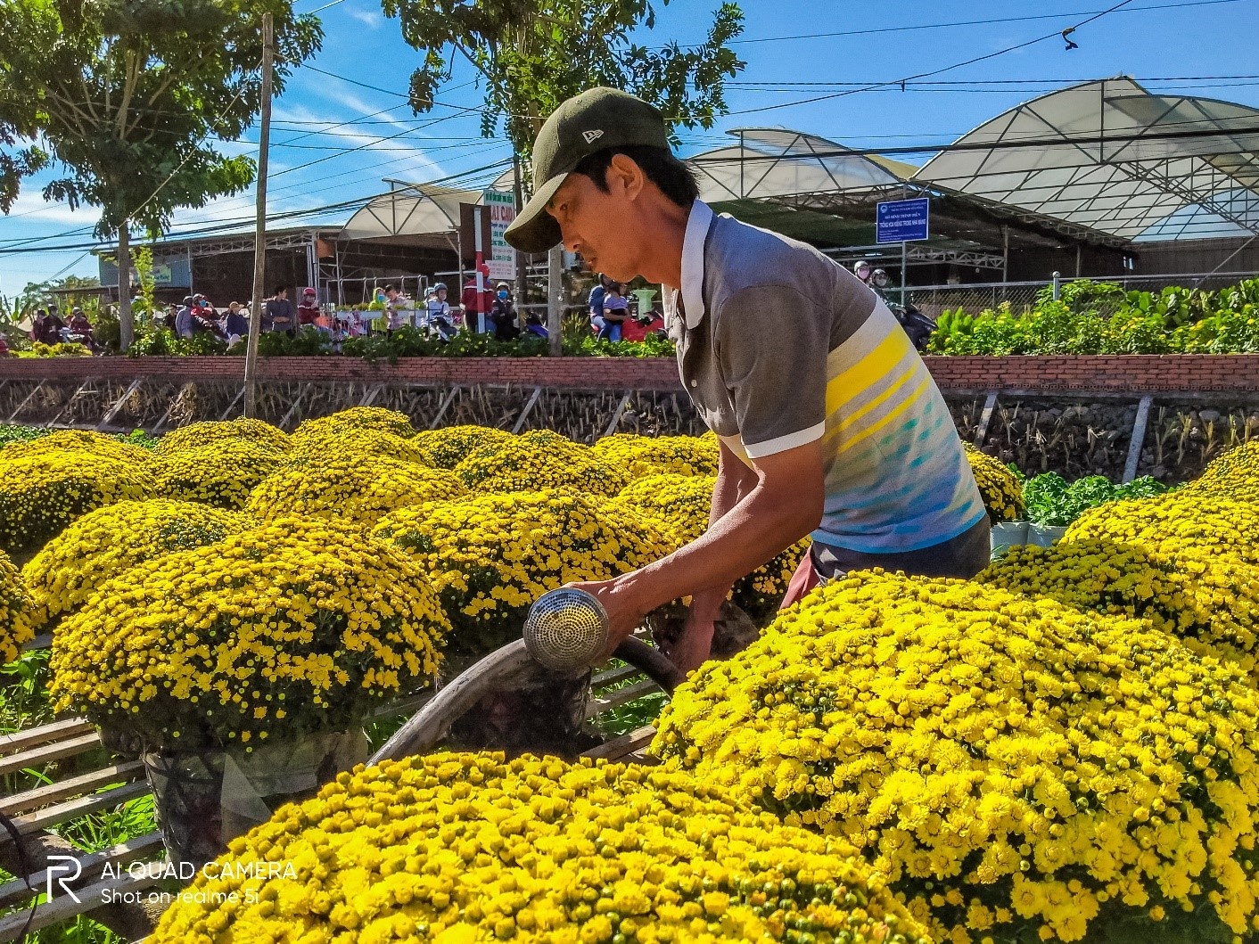 Lang hoa Sa Dec nhung ngay can Tet qua ong kinh Realme 5i hinh anh