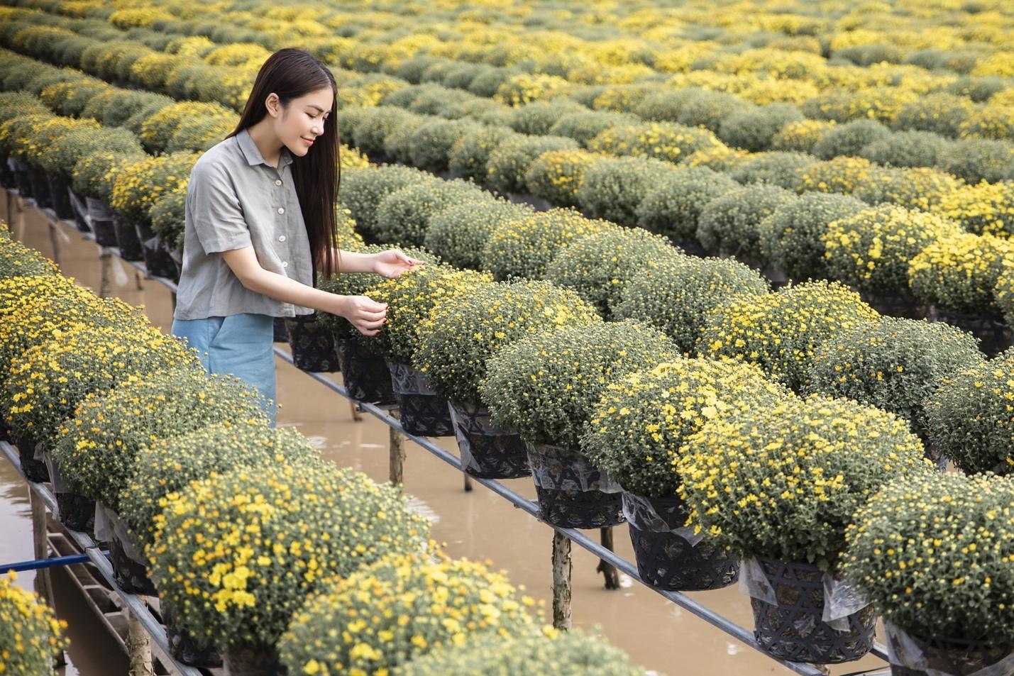 nhạc dân gian ảnh 1 nhac dan gian anh 1
