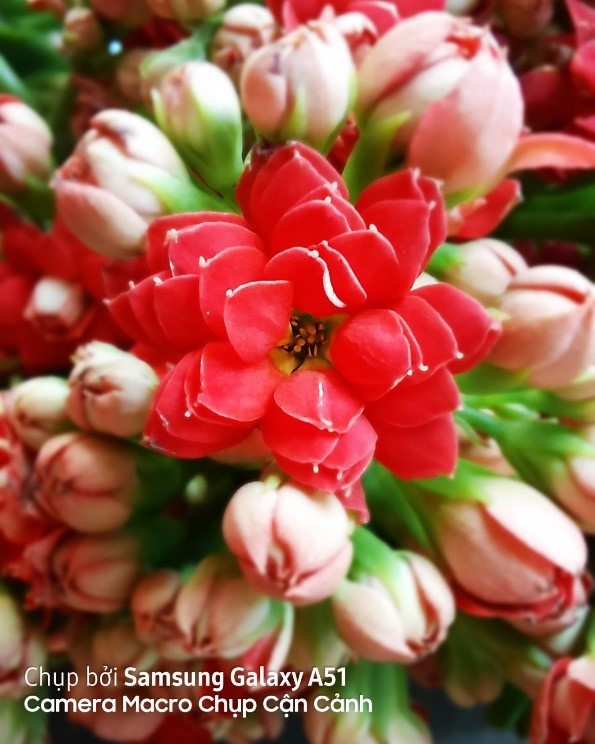 Samsung ảnh 5 Samsung anh 5