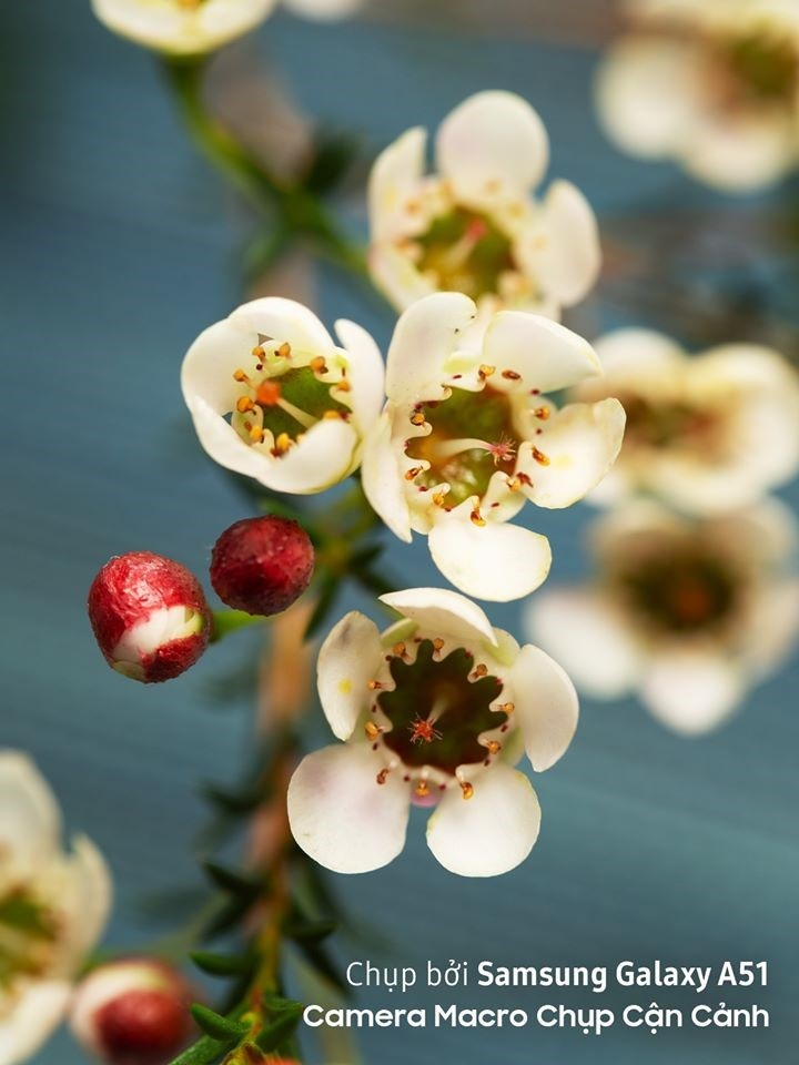 Samsung ảnh 7 Samsung anh 7