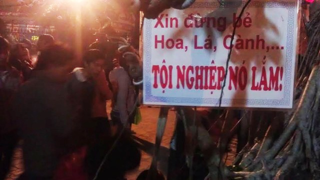 omo ảnh 1 omo anh 1