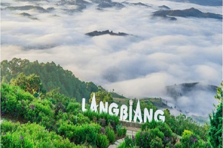 Hoa Dalat Travel anh 2