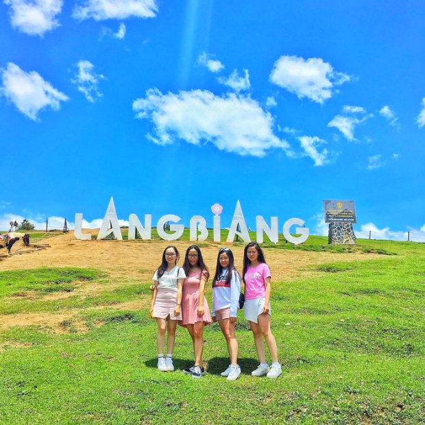 Hoa Dalat Travel anh 3