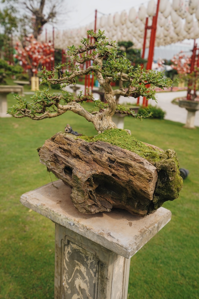 Vinhomes Smart City anh 5