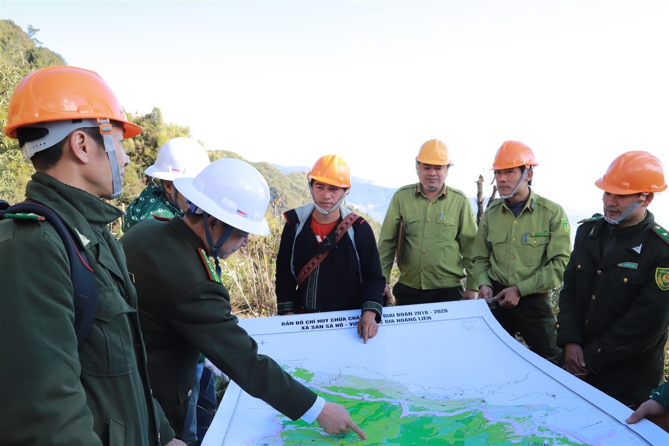 'Phat trien du lich bai ban la cach tot nhat de gin giu rung' hinh anh