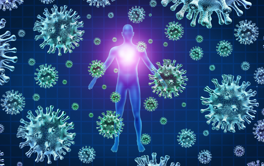 Bao hiem Corona++ anh 1