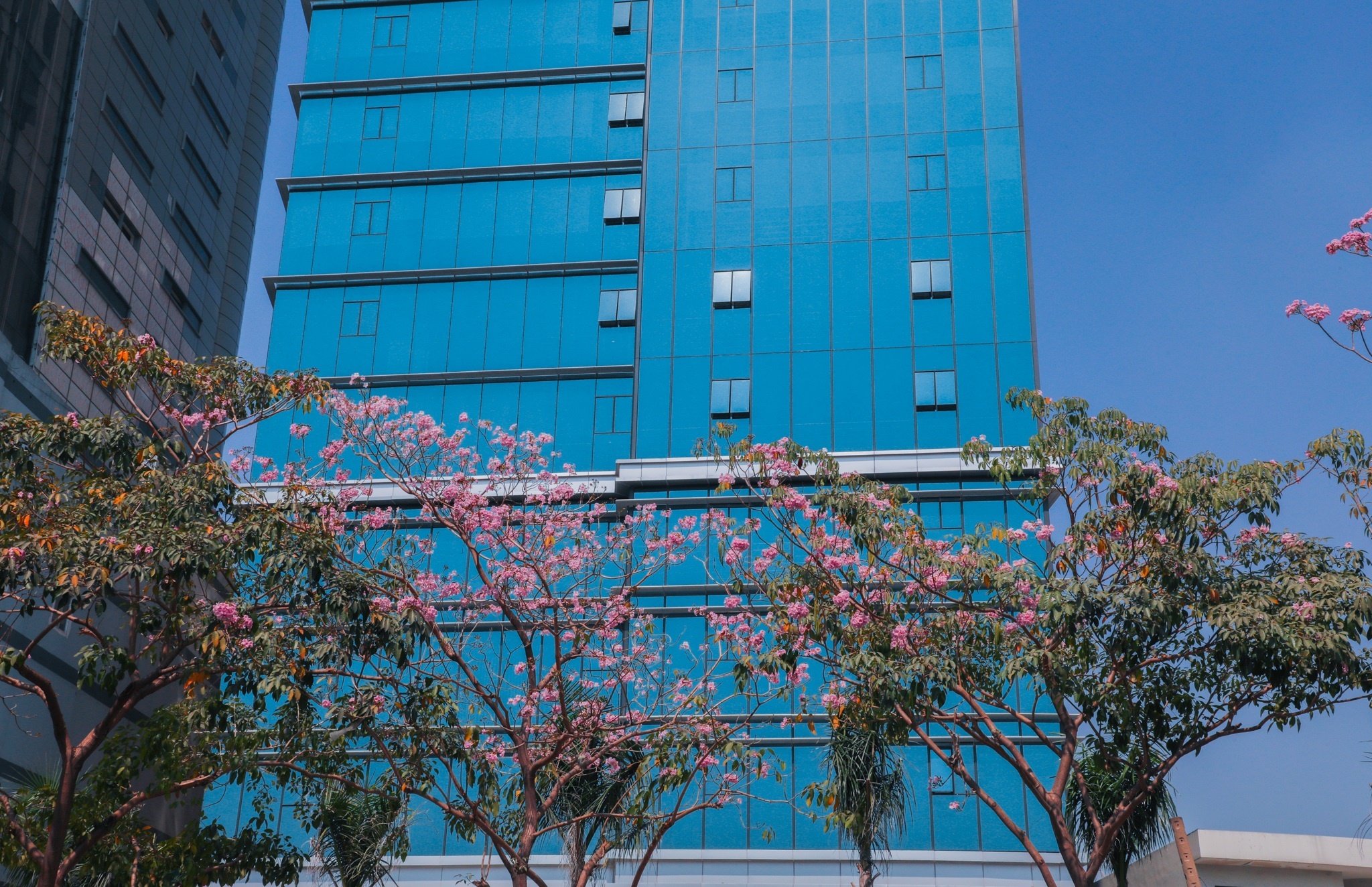 Đại học Kinh tế - Tài chính TP.HCM ảnh 2 Dai hoc Kinh te - Tai chinh TP.HCM anh 2