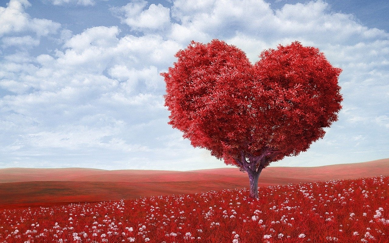 Valentine,  Samsung ảnh 1 Valentine,  Samsung anh 1