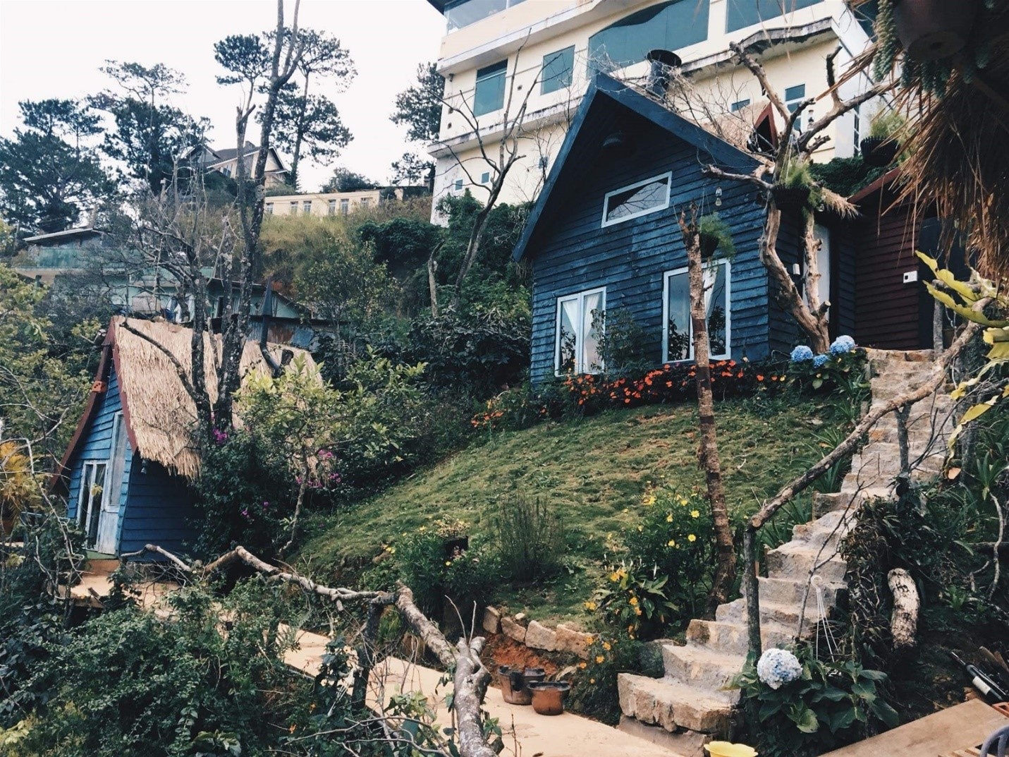 Hoa Dalat Travel ảnh 1 Hoa Dalat Travel anh 1