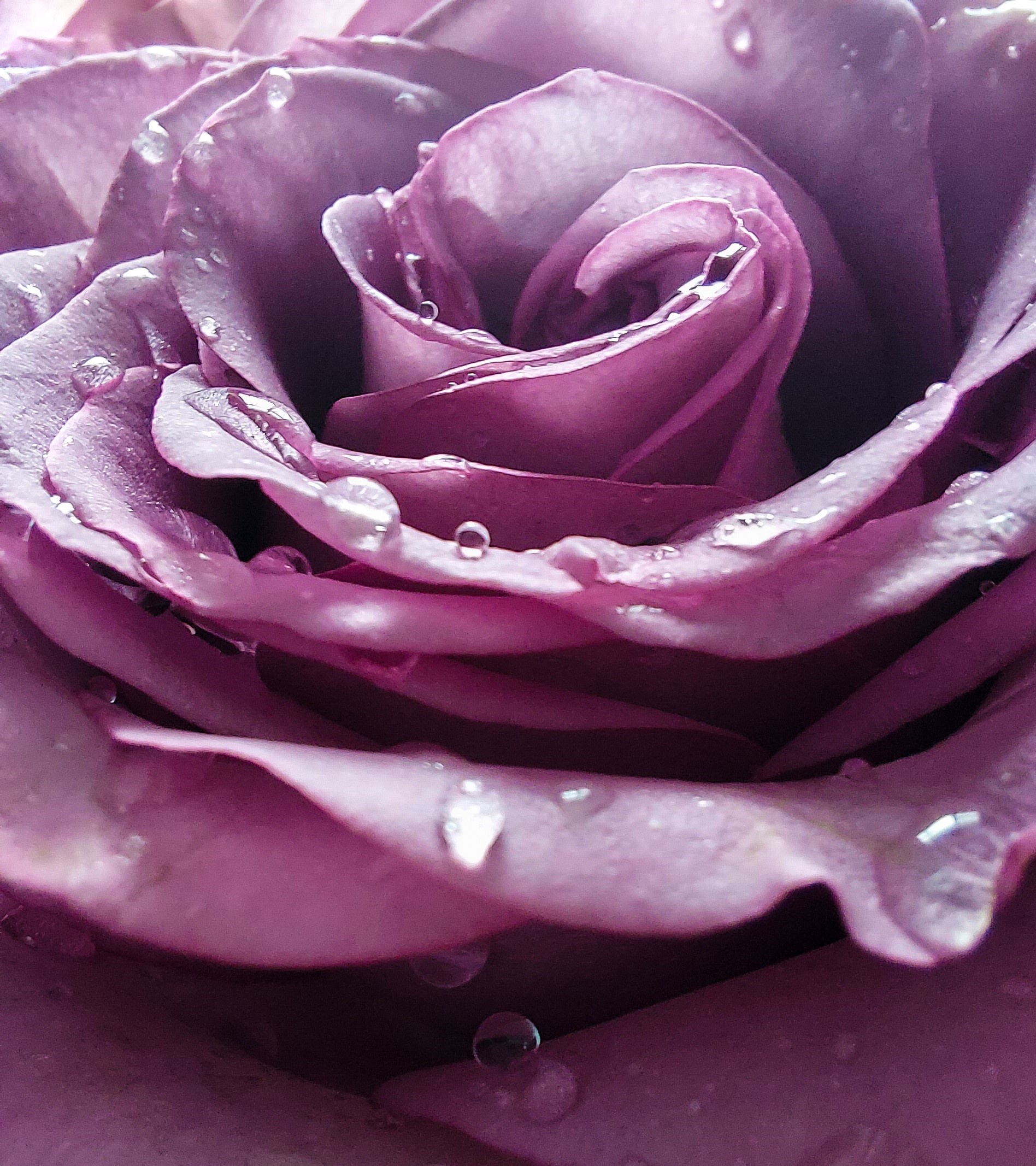 Samsung ảnh 4 Samsung anh 4