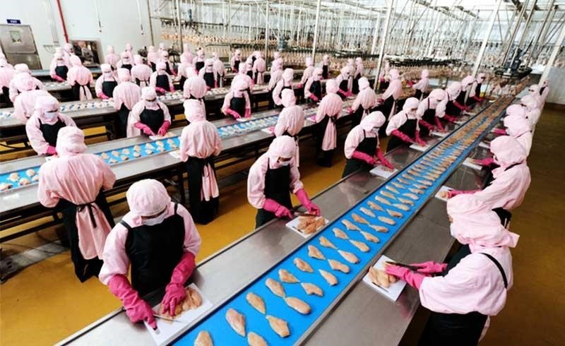 ga nuong O O O anh 2