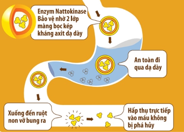 Nattokinase Jintan anh 3