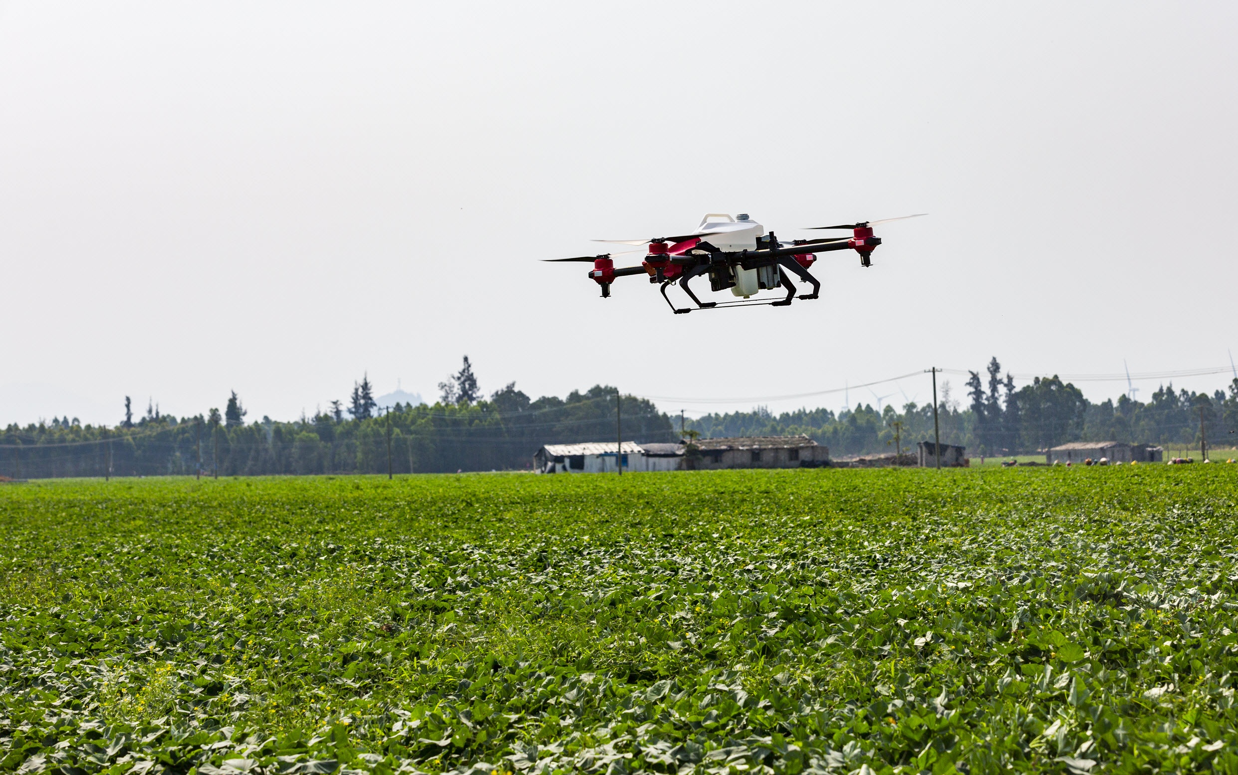 Bayer hop tac XAG, mang nong nghiep ky thuat so toi DNA va Pakistan hinh anh