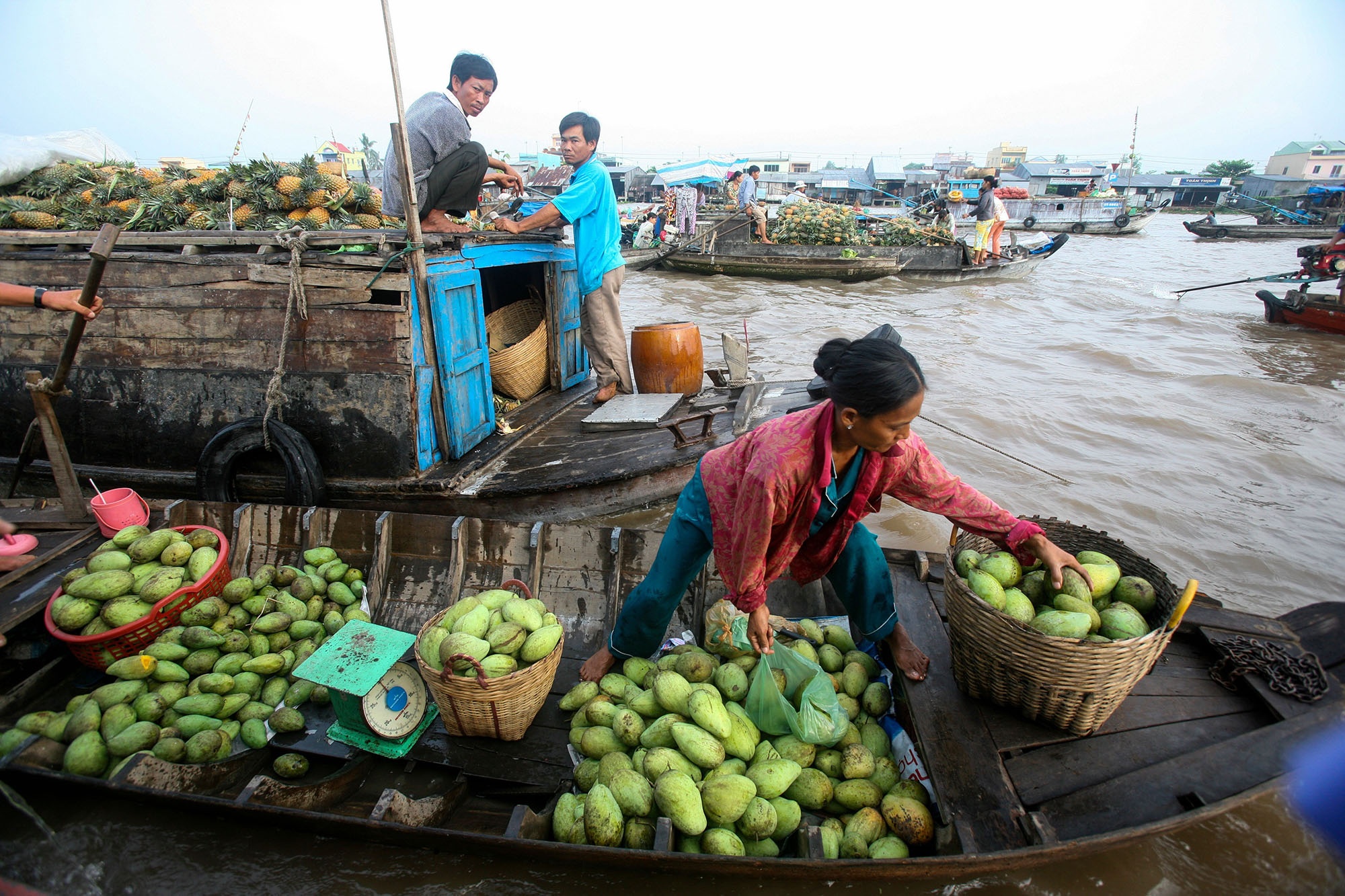 Nguoi Ha Noi bay vao mien Tay thuong thuc miet vuon hinh anh