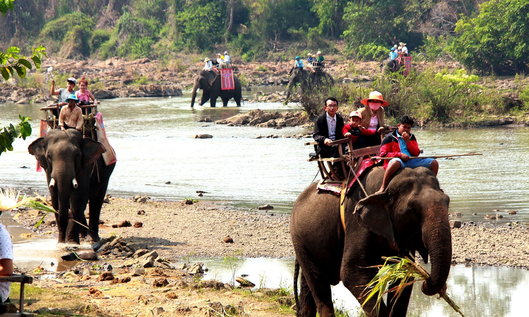 Ghe Tay Nguyen thang 3, ngam hoa ca phe no trang dat troi hinh anh