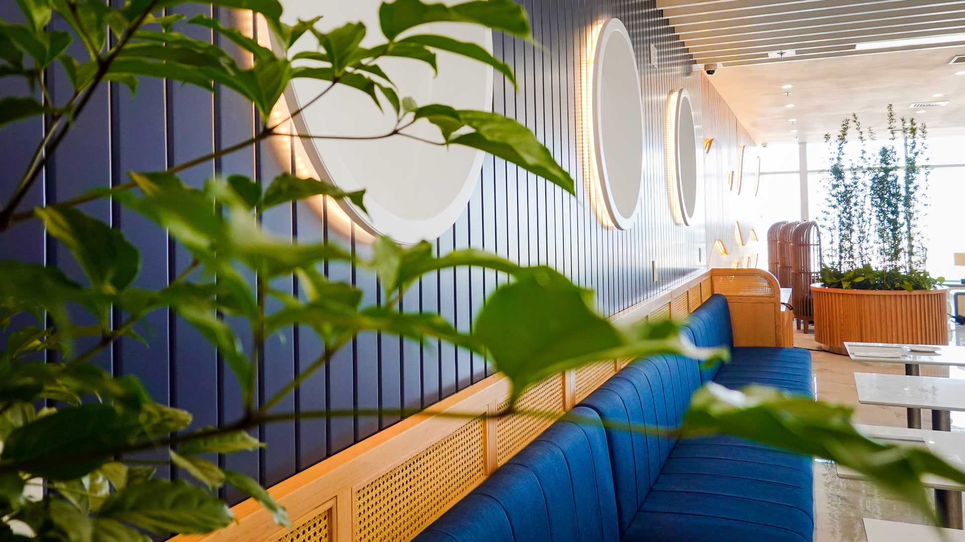 Bamboo Airways anh 4