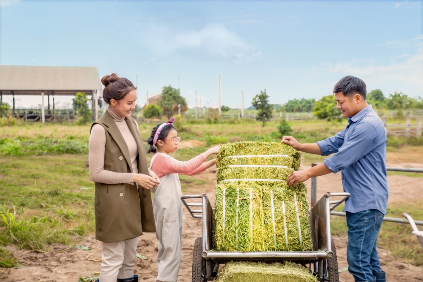 Cô Gái Hà Lan ảnh 3 Co Gai Ha Lan anh 3