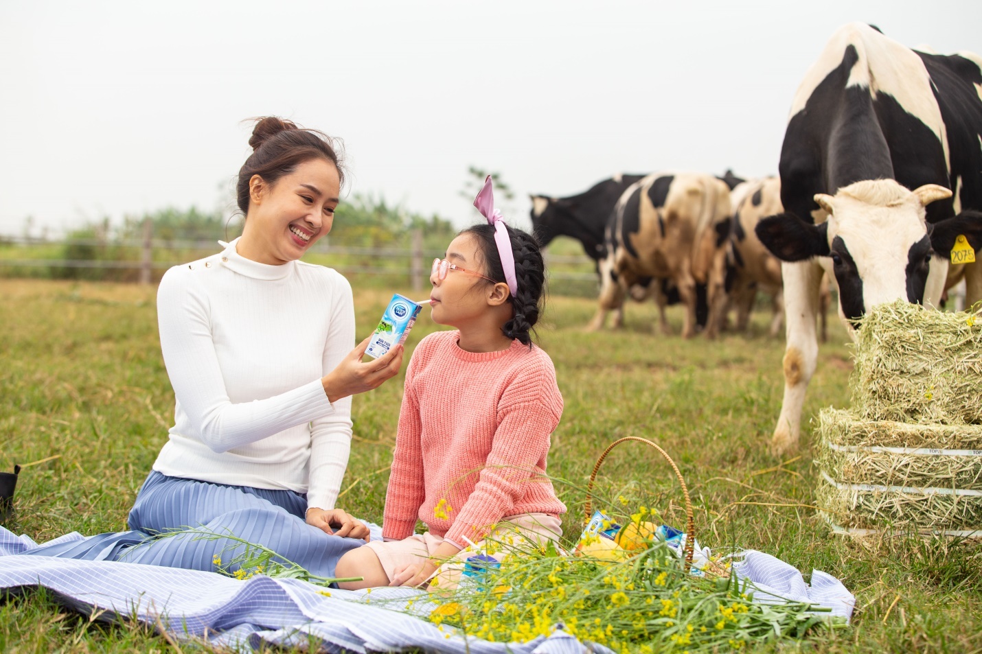 Cô Gái Hà Lan ảnh 8 Co Gai Ha Lan anh 8