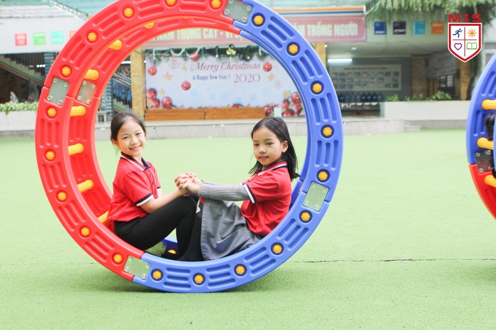 MIS ảnh 3 MIS anh 3