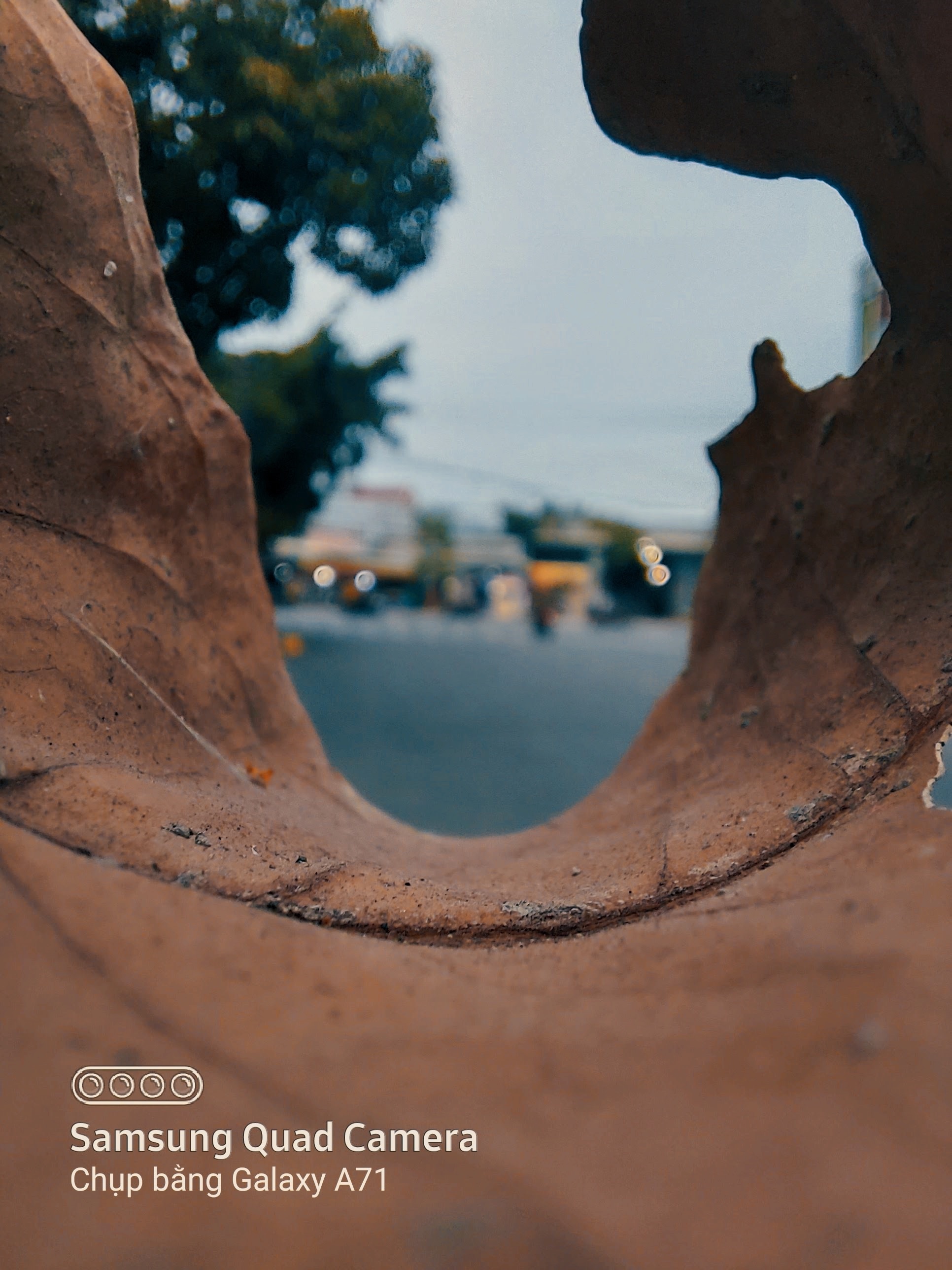 Samsung ảnh 6 Samsung anh 6